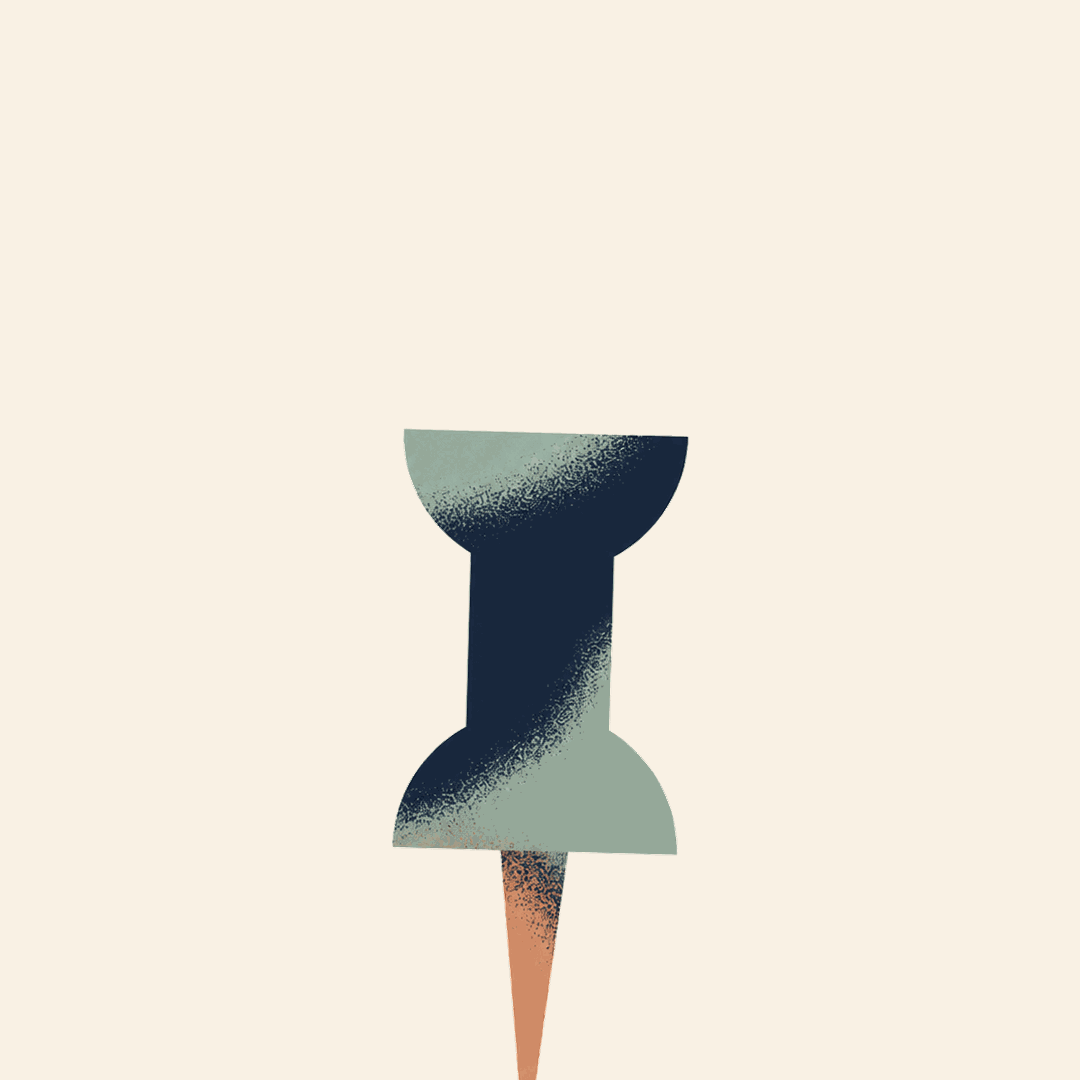 Pin animation