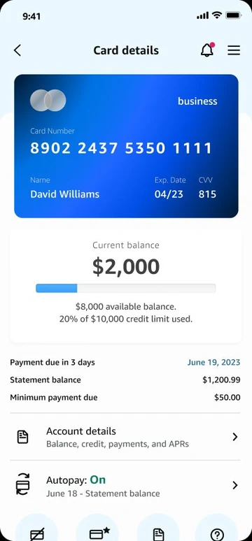 Card details on the Amazon Business card member hub